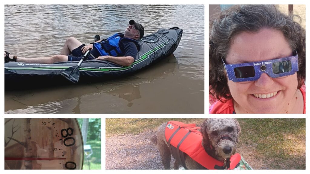 Checkers the camping dog trying to stay cool during a 35°C summer camping trip.