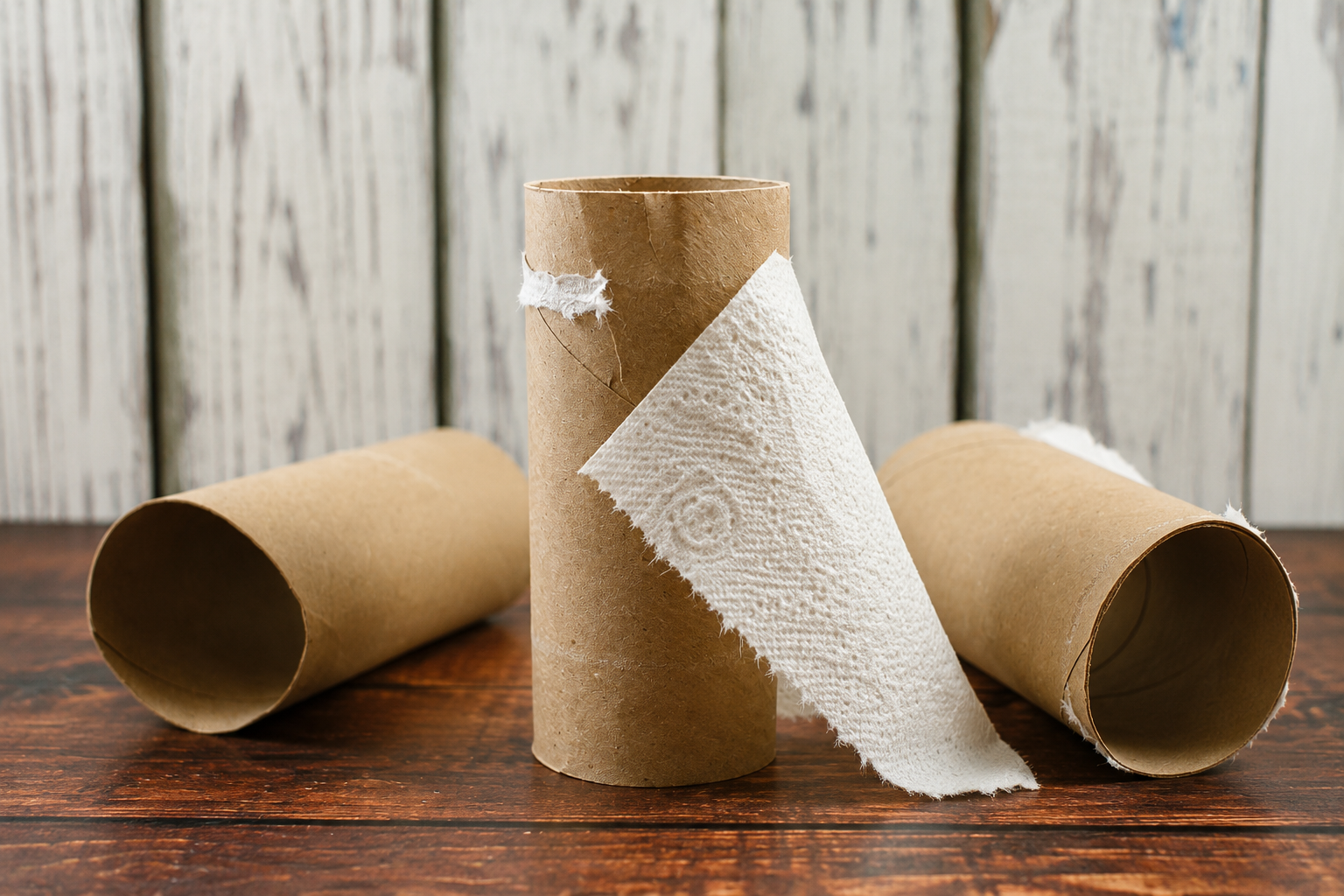 Empty-toilet-paper-rolls